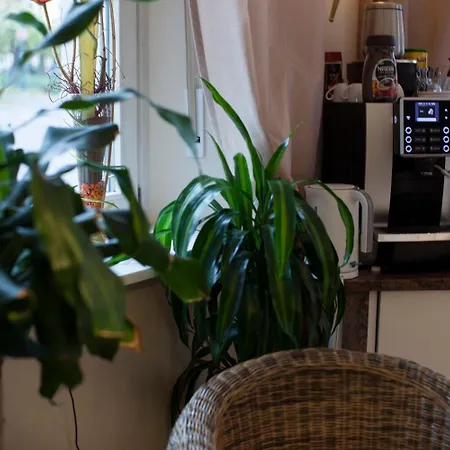 فندق بادن بون