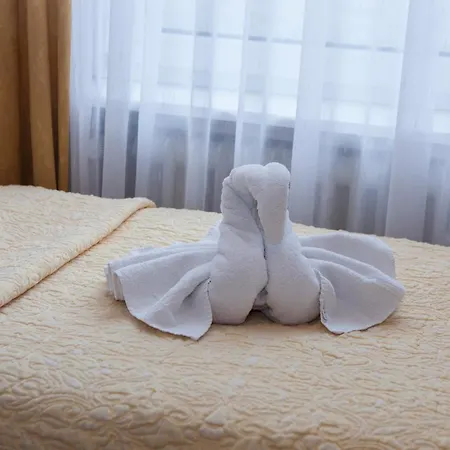 Baden Hotel 3*